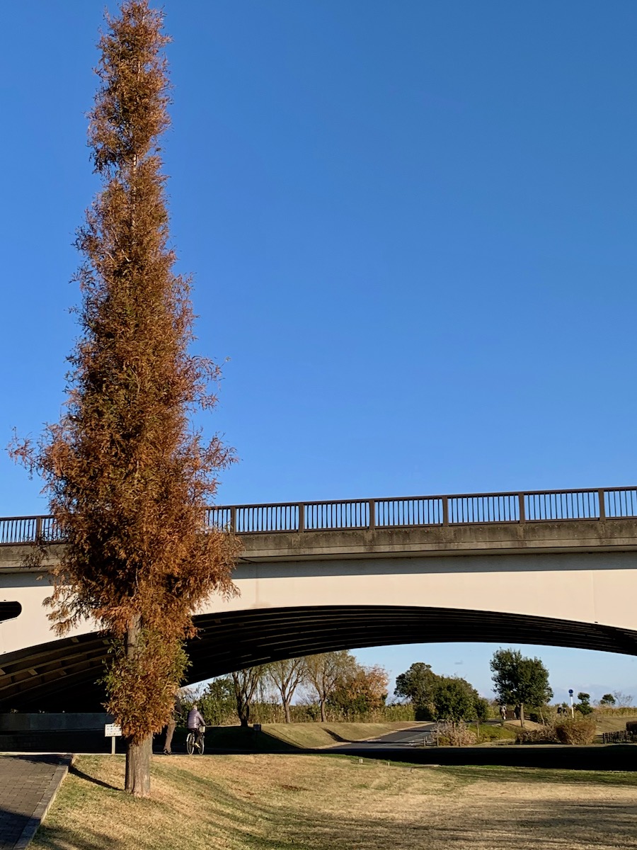 f:id:annex_n:20191208213206j:plain