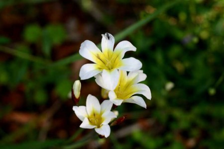 20100511090844