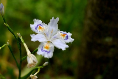 20100529092823