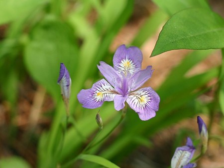 20100530072047