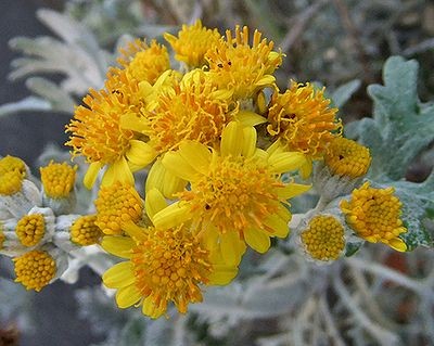 20100724065630