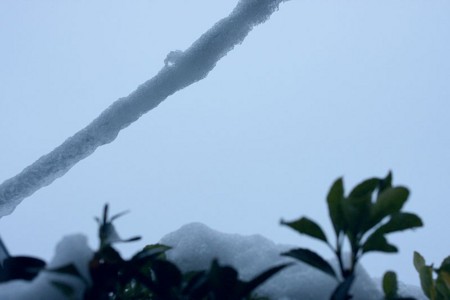 f:id:annhobby:20110215074325j:image