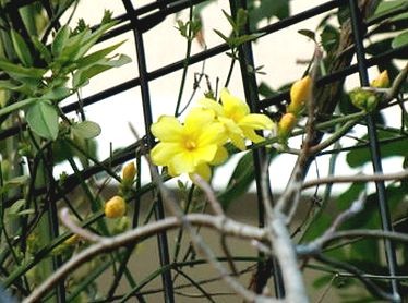 f:id:annhobby:20110330120816j:image