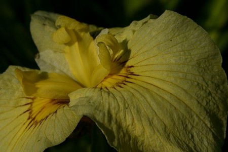 20110701074145