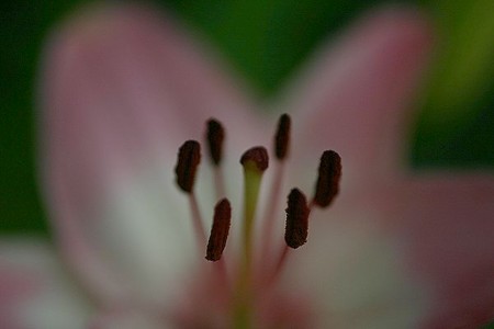 20110703203623