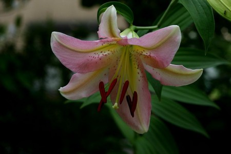 20110705105708