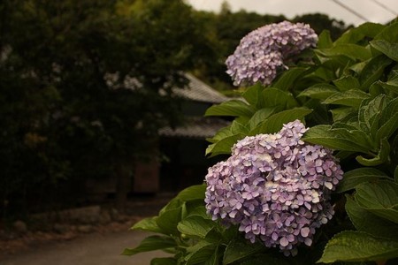 f:id:annhobby:20110714085543j:image