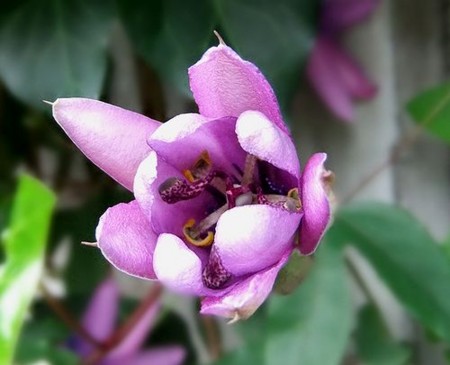 f:id:annhobby:20111029145815j:image