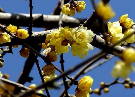 20120204223412