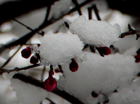 f:id:annhobby:20120229212222j:image