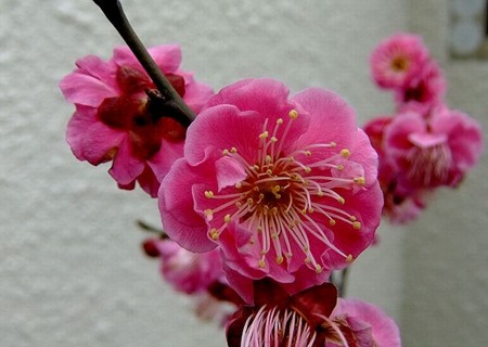 20120311223755