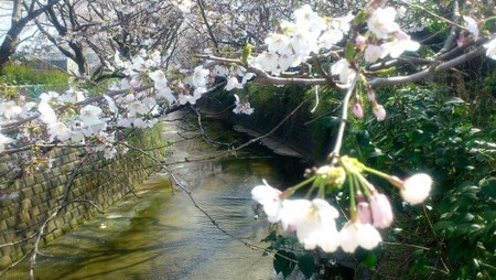20120406215123