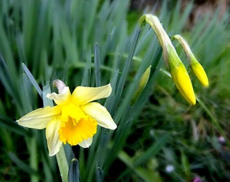 20120407202733