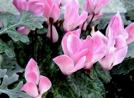 20120409171224