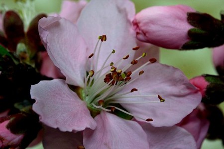 f:id:annhobby:20120421210445j:image
