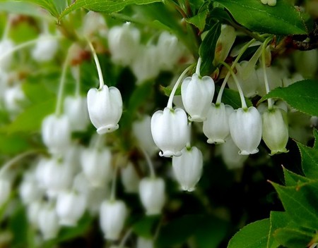 20120427202458