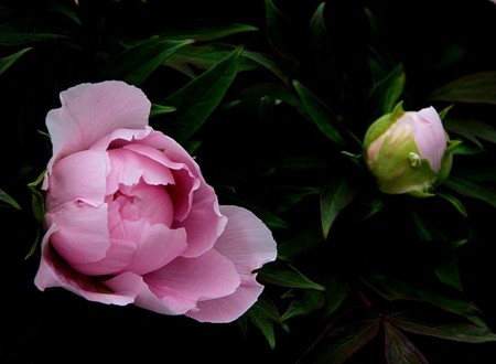 20120430194939
