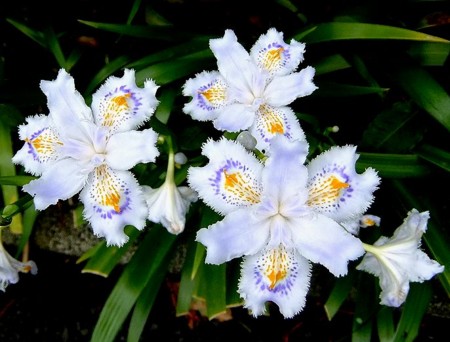 20120502144330