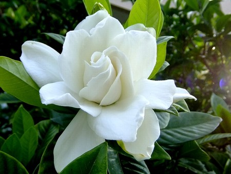f:id:annhobby:20120729221806j:image