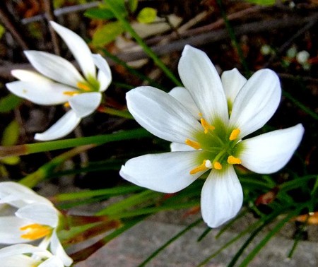 f:id:annhobby:20121007214227j:image f:id:annhobby:20121007214227j:image