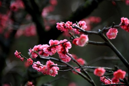 20130317222640