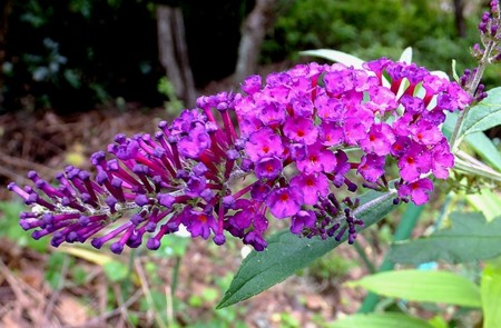 f:id:annhobby:20131031211845j:image