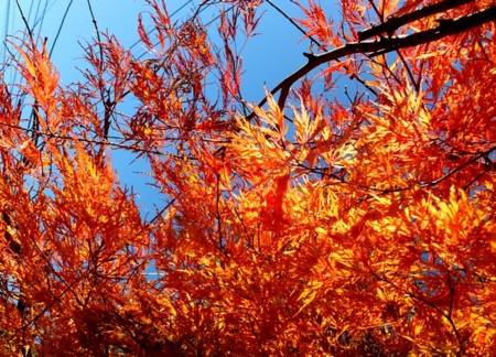 20131201223547