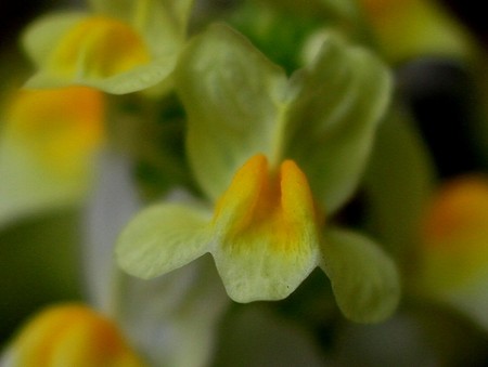 f:id:annhobby:20131229223329j:image
