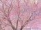 20140125212720