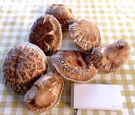 f:id:annhobby:20140329215519j:image f:id:annhobby:20140329215519j:image