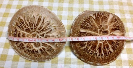20140330210916