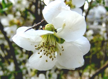 20140414200526