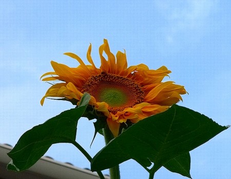 20140713213038