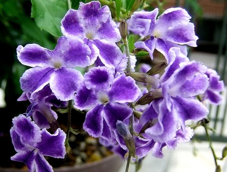 20140714212434