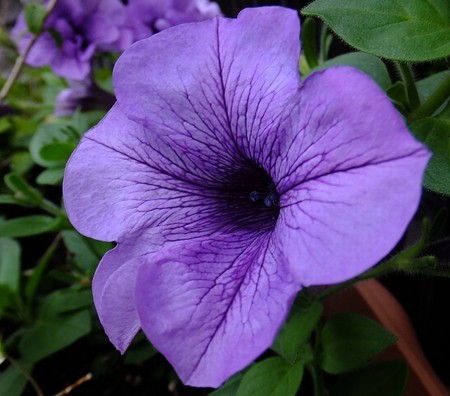 f:id:annhobby:20140914211327j:image