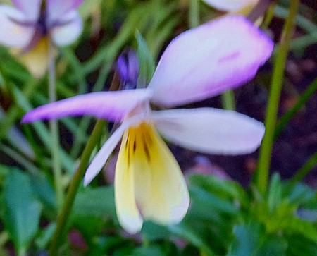 f:id:annhobby:20141221200142j:image f:id:annhobby:20141221200142j:image