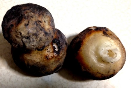 f:id:annhobby:20150112192326j:image