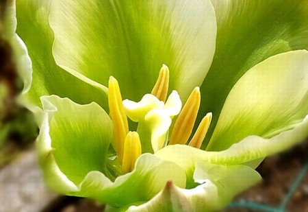 20150423203618