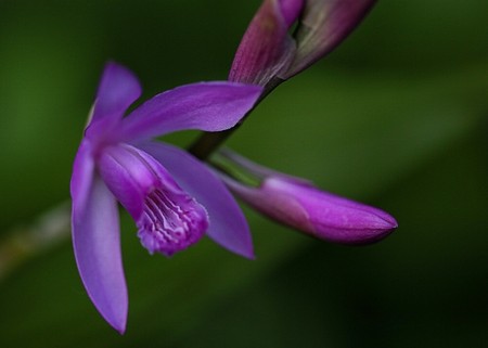 20160423200259