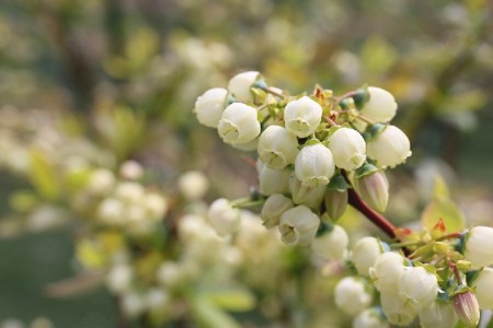 f:id:annhobby:20160505203932j:image