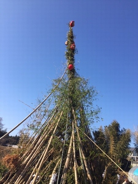 f:id:annhobby:20190113212122j:plain f:id:annhobby:20190113212122j:plain