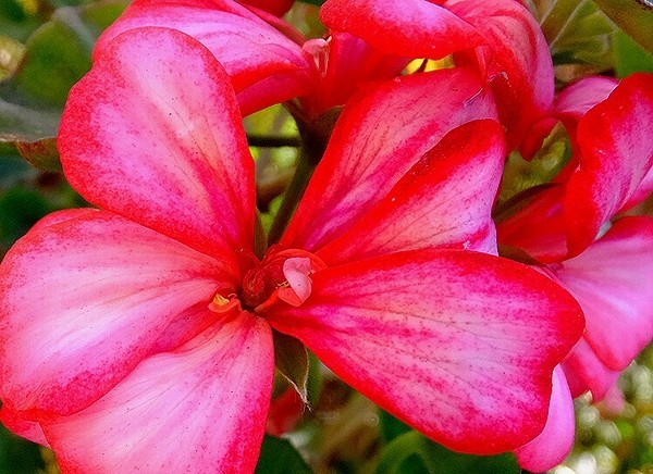 f:id:annhobby:20200111174042j:plain f:id:annhobby:20200111174042j:plain