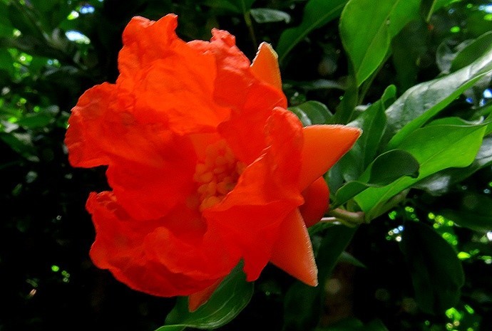 f:id:annhobby:20200615192632j:plain f:id:annhobby:20200615192632j:plain