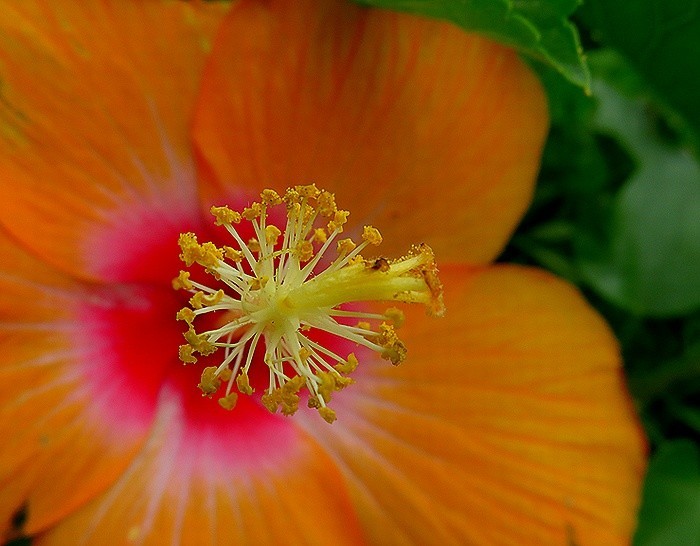 f:id:annhobby:20210823181518j:plain