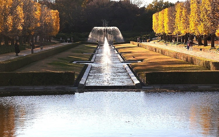 f:id:annhobby:20211125193655j:plain