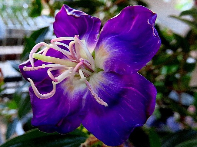 f:id:annhobby:20211222190650j:plain