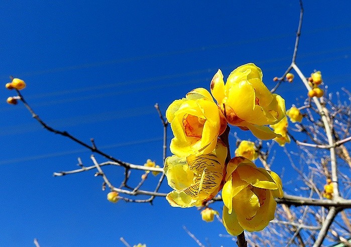 f:id:annhobby:20220123191255j:plain