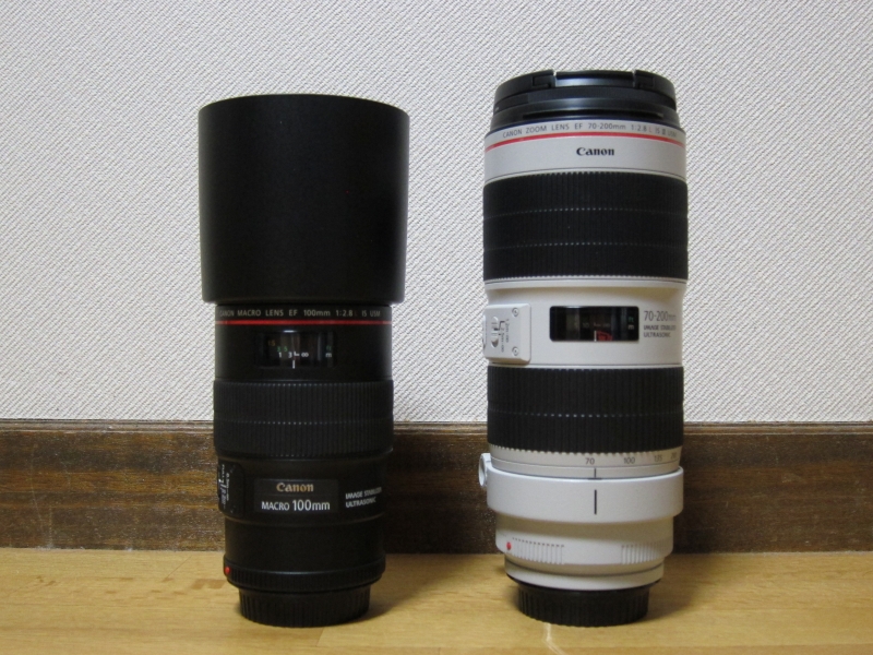 Canon マクロレンズ 中望遠 EF100mm F2.8L Macro IS USM - なじ Canon マクロレンズ 中望遠 EF100mm F2.8L Macro IS USM - なじ