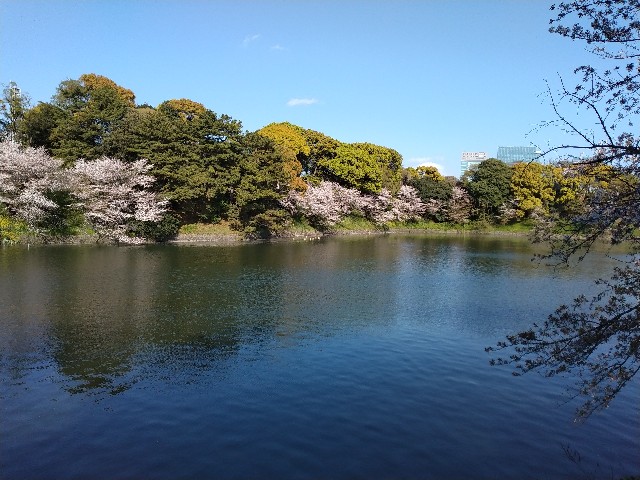 f:id:anninto-fu:20230403192933j:image