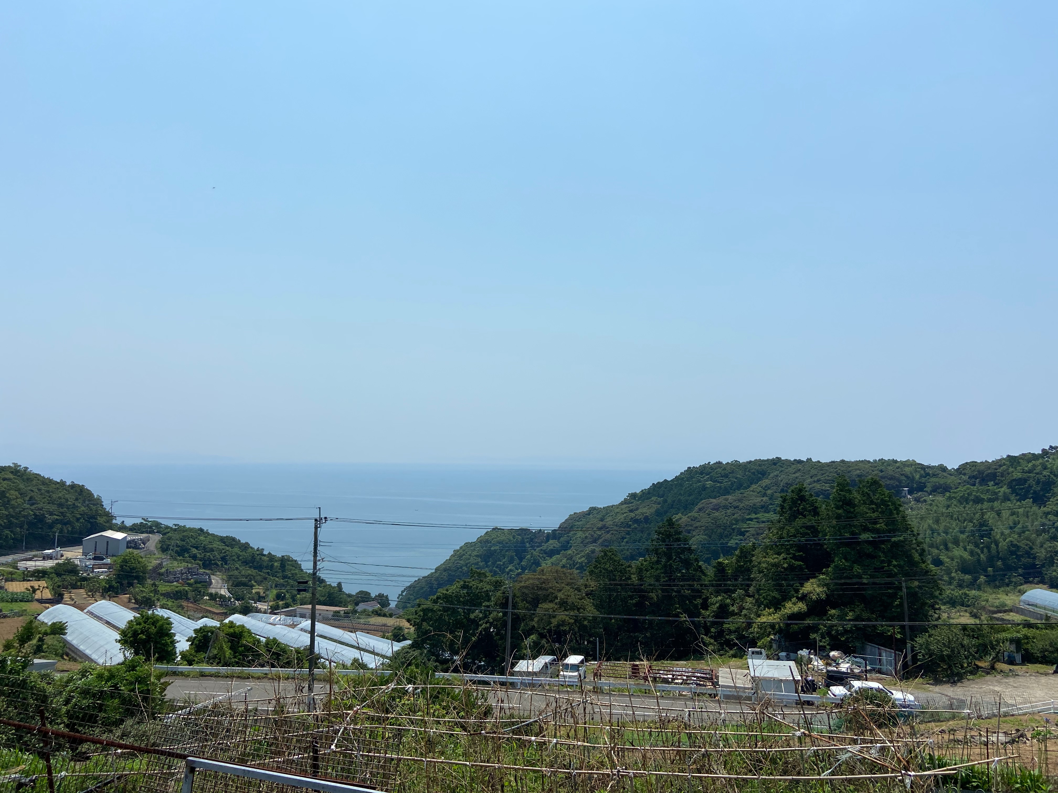 f:id:annkorokoror:20210609140635j:image